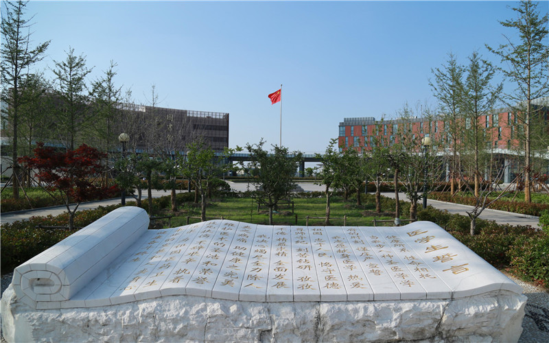 青岛市南：“一街好戏”拉动满街精彩